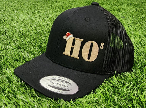 HO³ Xmas Hat