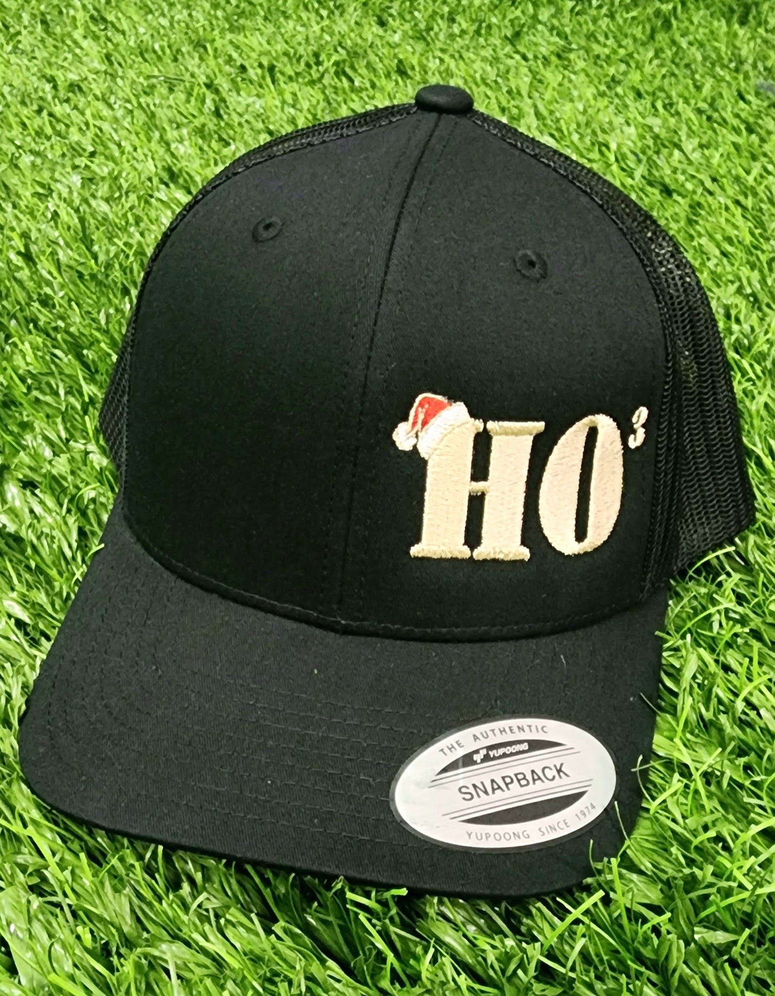 HO³ Xmas Hat